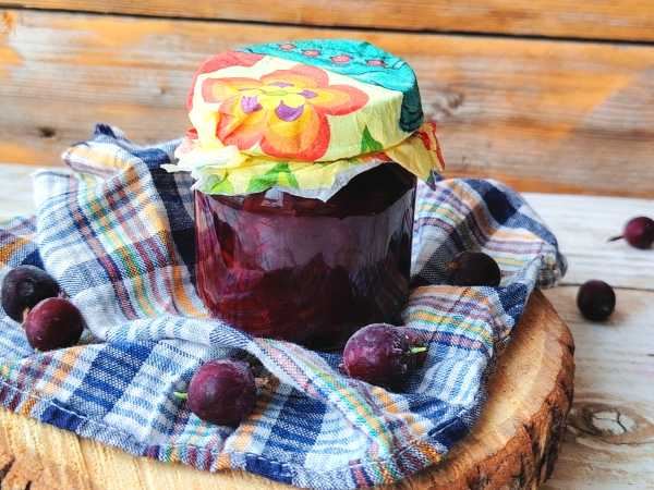 Варенье из крыжовника без сахара